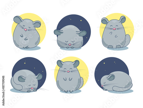 Set of chinchilla pet drawings