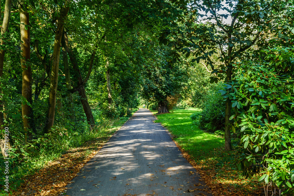 Walk in the park