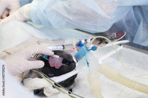 Doctors perform an operation.