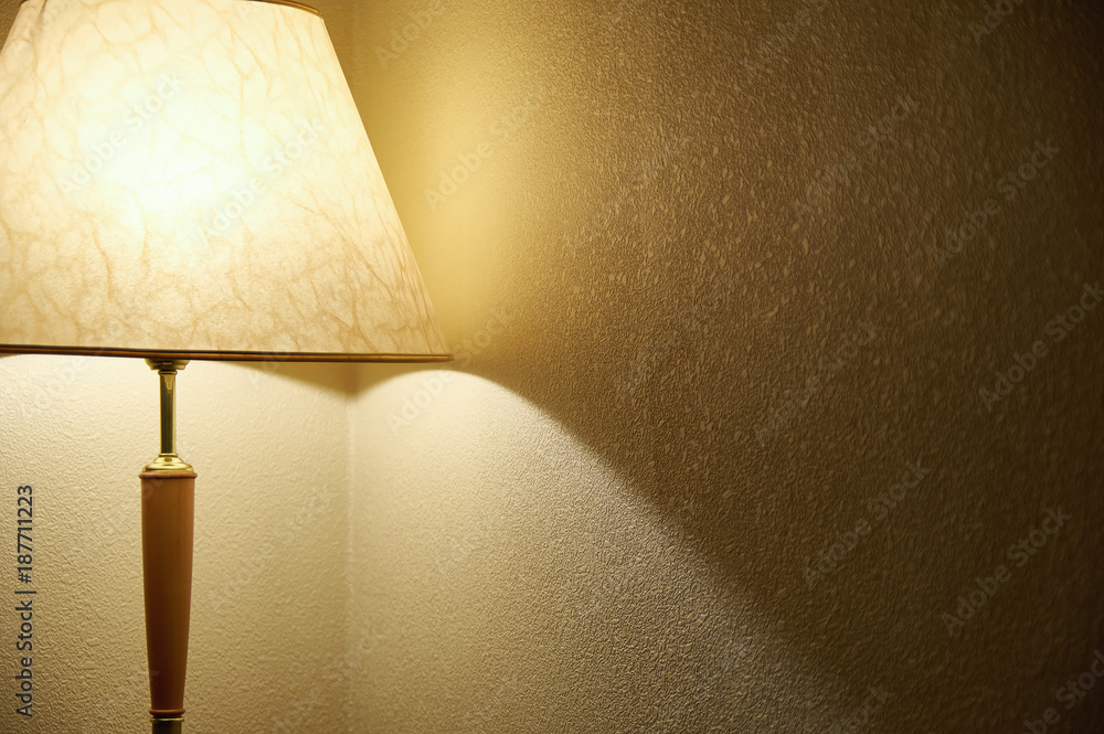 Floor lamp with soft light