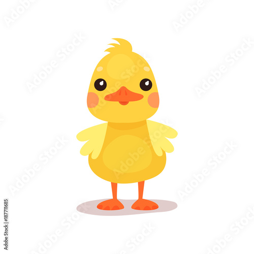 Cute little yellow duck chick character cartoon vector Illustration
