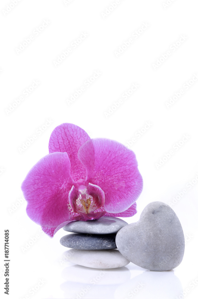 Fototapeta premium różowa orchidea na kamyczkach ułożonych i kamyk w kamyk w kształcie serca na białym tle