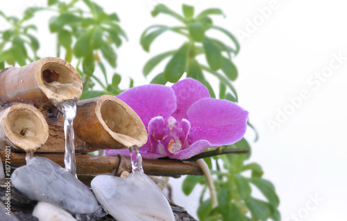 orchid on small fountain and pebble in heart shape on white background