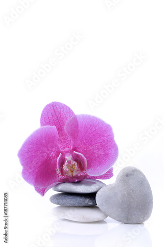 pink orchid on pebbles stacked and pebble in heart-shaped pebble on white background