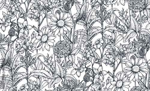 Vector seamless pattern with hand drawn herbs and flowers