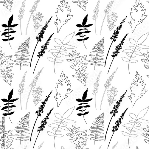 Floral vector seamless pattern with different hand drawn leaves, wild flowers...