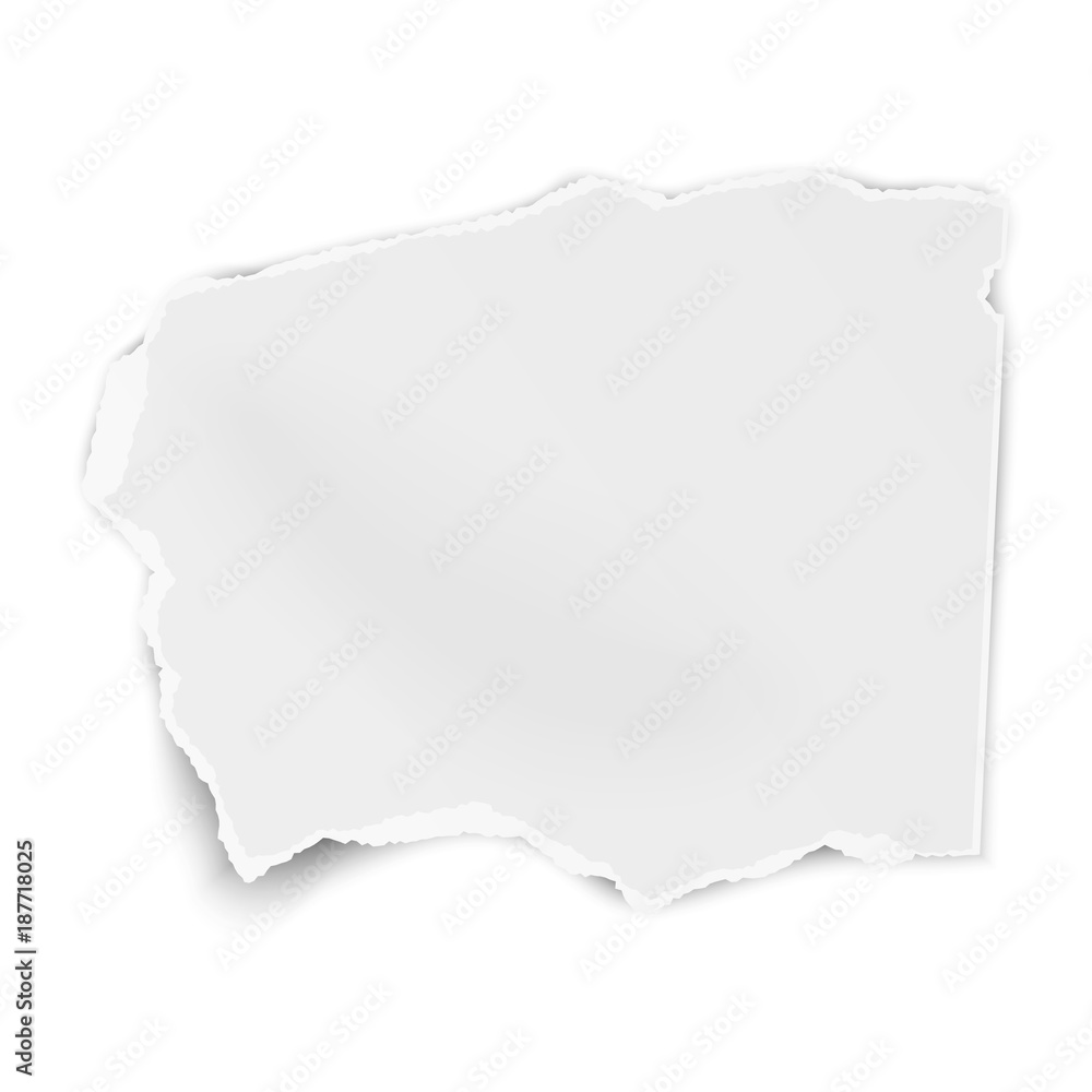 Torn paper wisp with soft shadow isolated on white background. Vector template paper design.