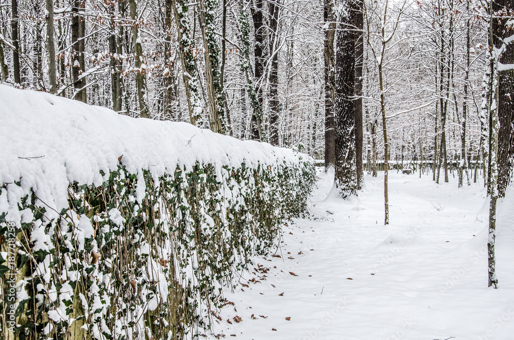 Fototapeta premium Schneemauer