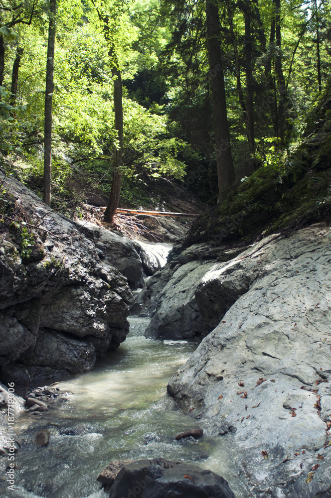 The mountain river is enclosed in stones. Vertical landscape. The mountain river is enclosed in stones. Vertical landscape.