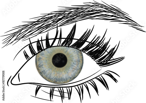 Beautiful female eye.  Blue Eye