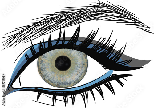 Beautiful female eye.  Blue Eye