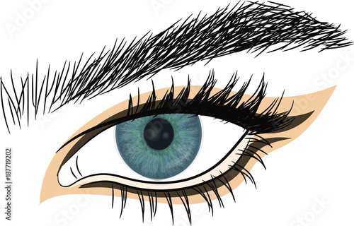 Beautiful female eye.  Blue Eye