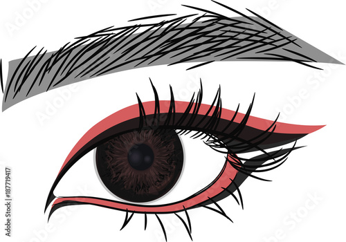Dark Brown Eye . Beautiful female  eye