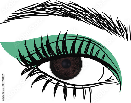 Dark Brown Eye . Beautiful female  eye
