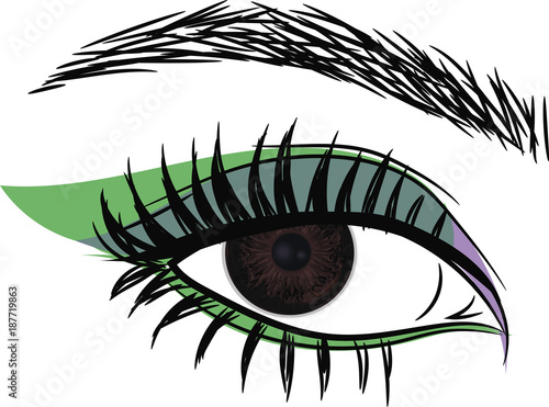 Dark Brown Eye . Beautiful female  eye