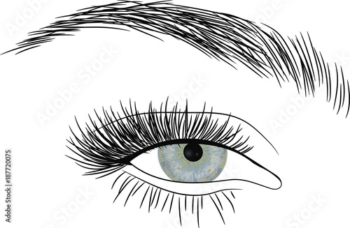 Light Blue Eye. Beautiful eye