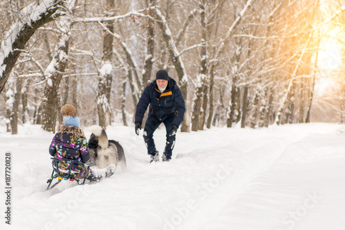 Adorable little girl having a cuddle with husky sled dog in Lapland Finland. Two Huskies ride a child on a sled in winter