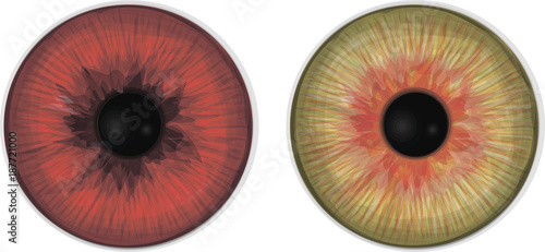 Collection of decorative eye iris. Halloween vector set