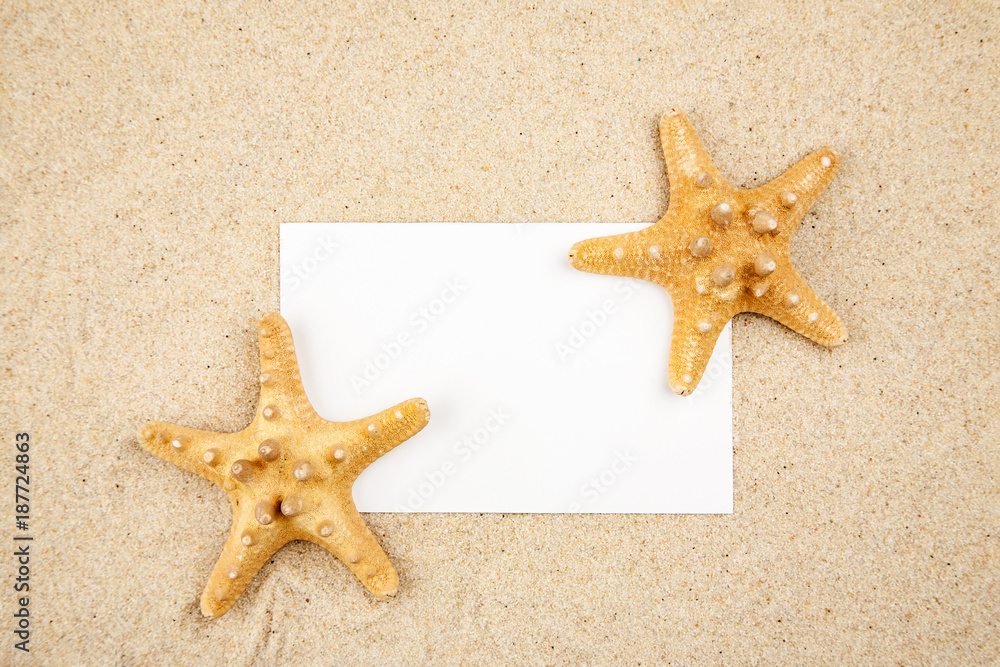 Two starfishes in the sand with blank white paper card, text space Two starfishes in the sand with blank white paper card, text space