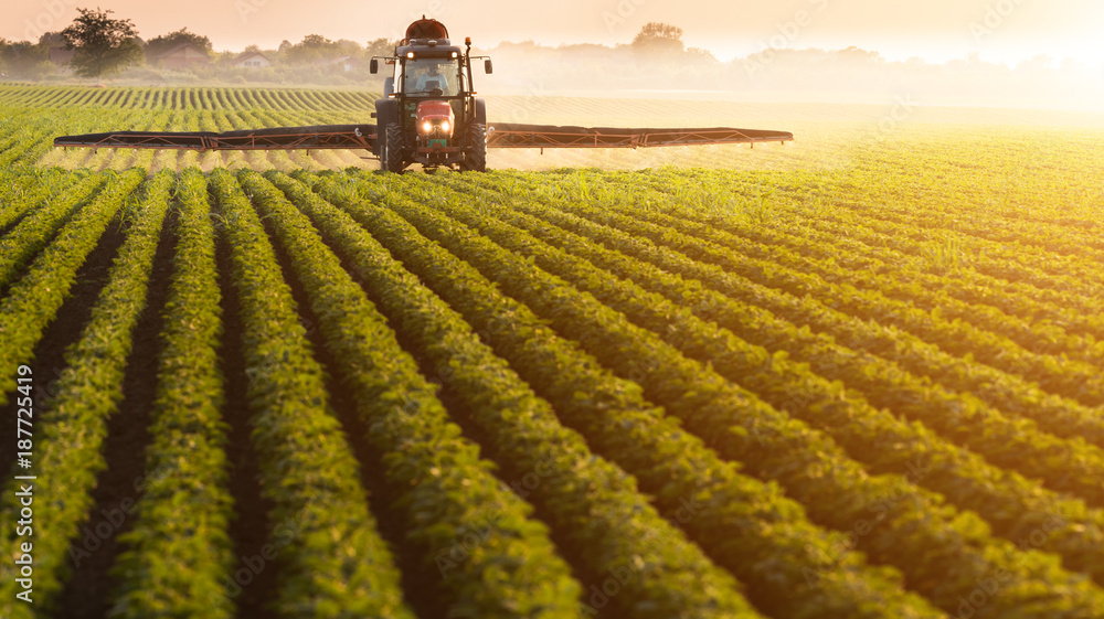 Tractor spraying pesticides on soybean field with sprayer at spring Tractor spraying pesticides on soybean field with sprayer at spring