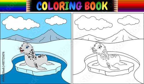Coloring book with seal cartoon