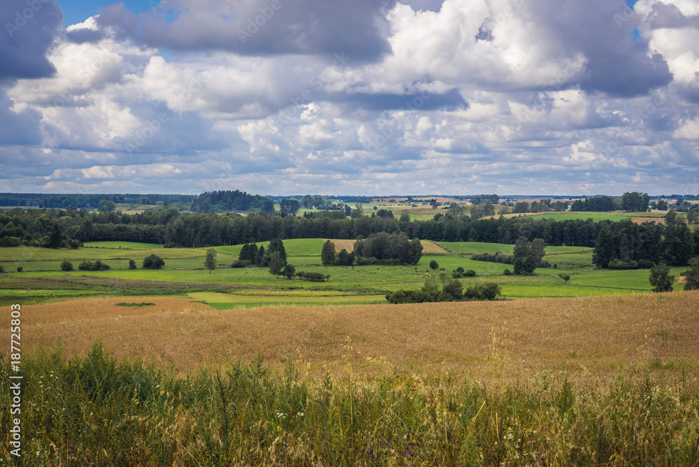 Aerial view on fields and meadows in Masuria region of Poland