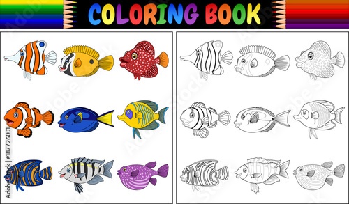 Coloring book various fishes