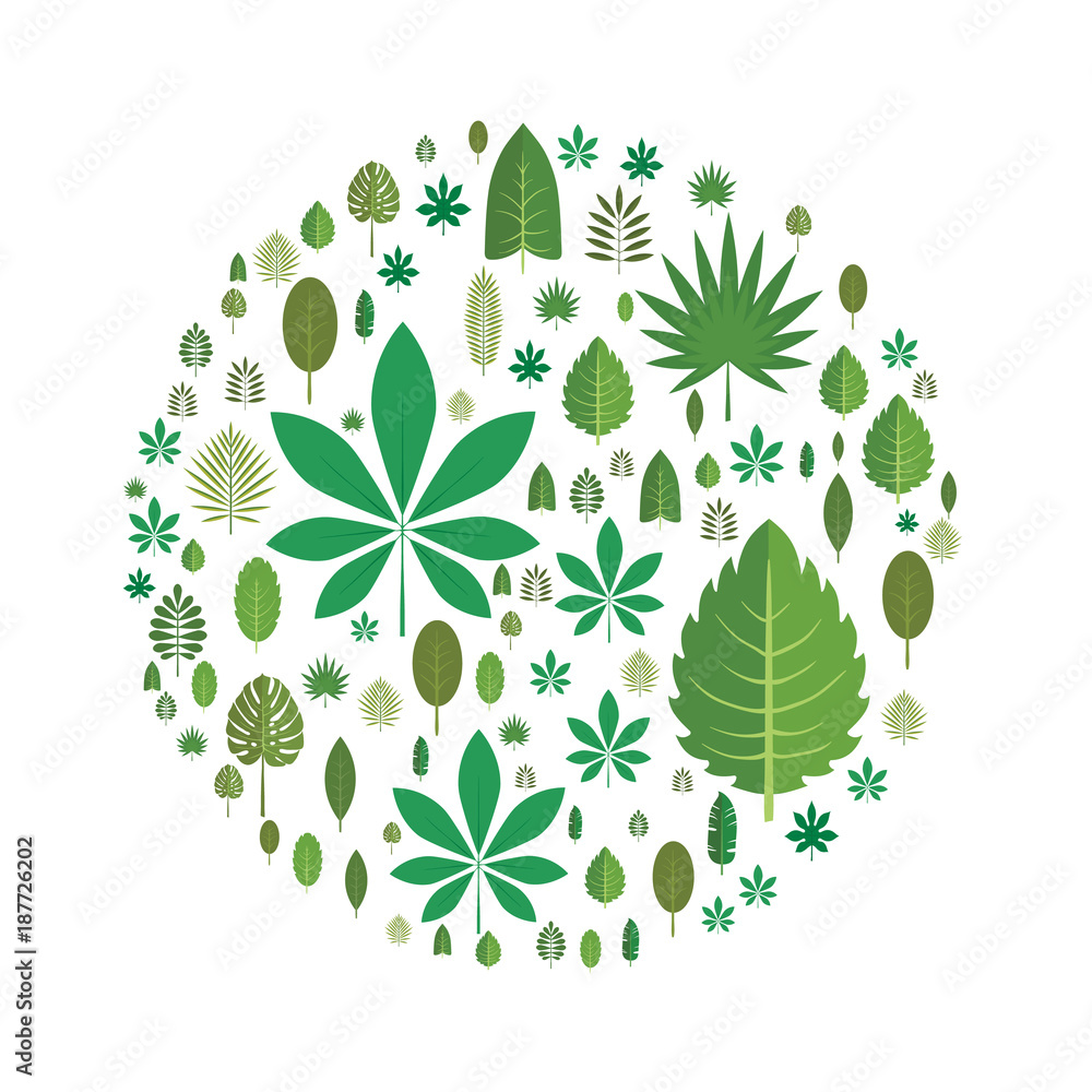 Obraz premium The leaves of different trees arranged in the shape of a circle. Design element, vector illustration, isolated on white background.