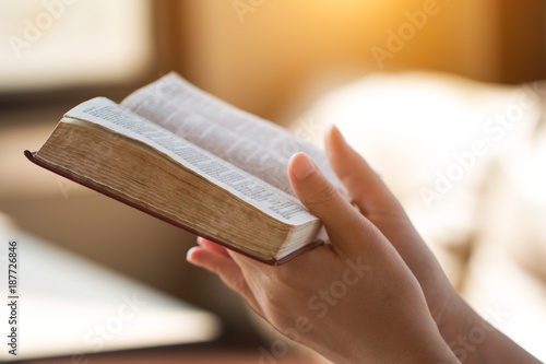 bible,women reading from the holy bible