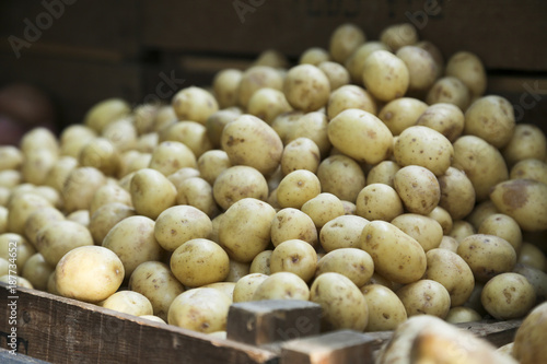 Baby potato on fatmers market