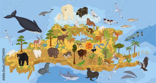 Isometric 3d North America flora and fauna map elements. Animals, birds and sea life. Build your own geography infographics collection © a7880ss
