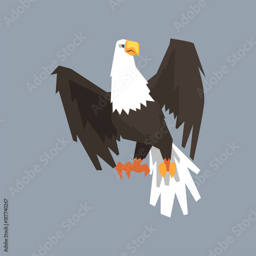 North American Bald Eagle, symbol of USA vector illustration