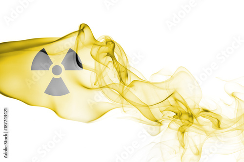 Billede på lærred Nuclear smoke