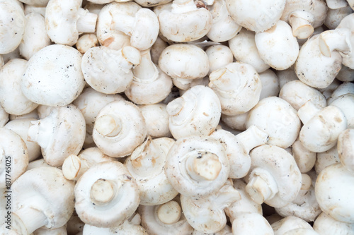 mushrooms champignons in boxes on the market