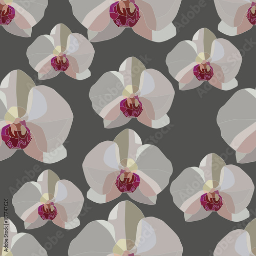 white bud orchid flowers seamless pattern on a gray background. Realistic vector art