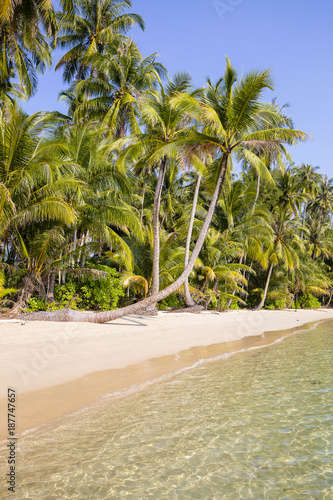 Fototapeta Naklejka Na Ścianę i Meble -  Beautiful tropical beach, coconut palm tree and clean sea water in Thailand