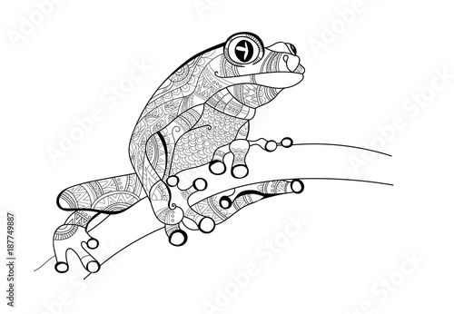 Frog on the branch. Doodle for coloring. Vector