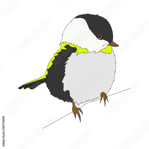 cute cartoon little bird. Nature Vector Art