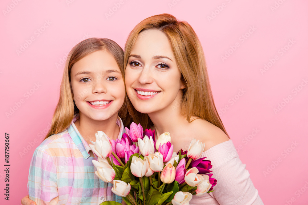 Close up portrait of lovely, charming mummy and daughter with beaming smiles over pink background, having colorful tulips, bonding cheek to cheek, looking at camera, women's day Close up portrait of lovely, charming mummy and daughter with beaming smiles over pink background, having colorful tulips, bonding cheek to cheek, looking at camera, women's day