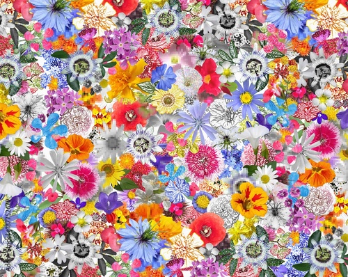 Obraz na płótnie Kolorowe tło z mieszanych kwiatów