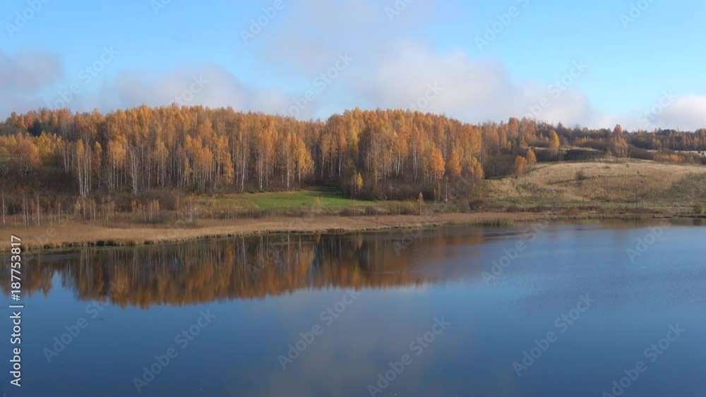 Birch grove on the bank of the Gorodishchenskoye lake. Golden autumn in Izborsk, Russia Birch grove on the bank of the Gorodishchenskoye lake. Golden autumn in Izborsk, Russia