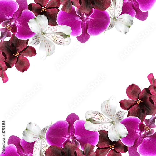 Beautiful floral background with orchids  alstroemerias and pelargonium 