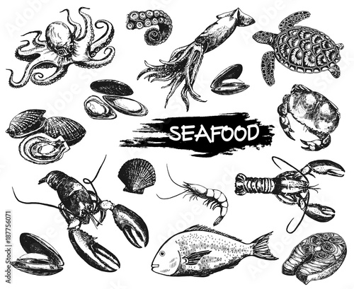 Set of hand drawn sketch style seafood. Vector illustration isolated on white background.