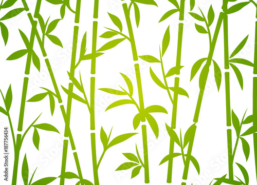 Bamboo background japanese asian plant wallpaper grass. Bamboo tree vector pattern © kolonko