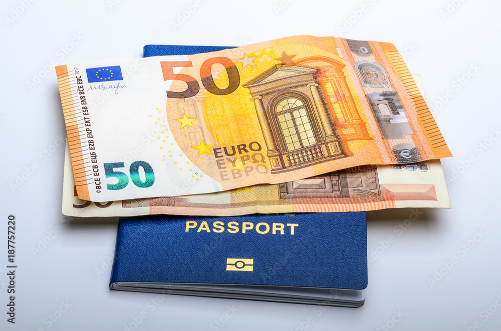 Biometric passport for travel and money notes Euro Biometric passport for travel and money notes Euro