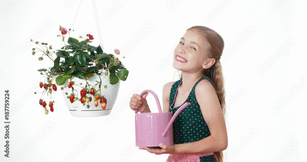 Girl watering strawberry on white background