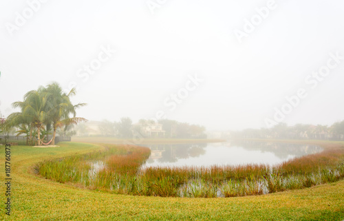 Foggy morning overlooking the backyard lake