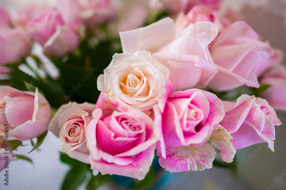 Bouquet of roses Pink Background blur Valentine Bouquet of roses Pink Background blur Valentine