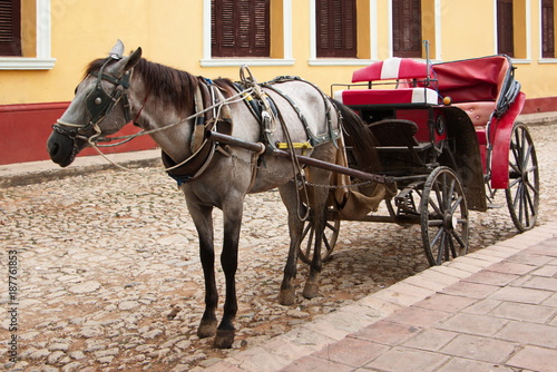 Horse carriage in Trinidad in Cuba 