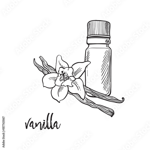 Vanilla flower and bootle spicy